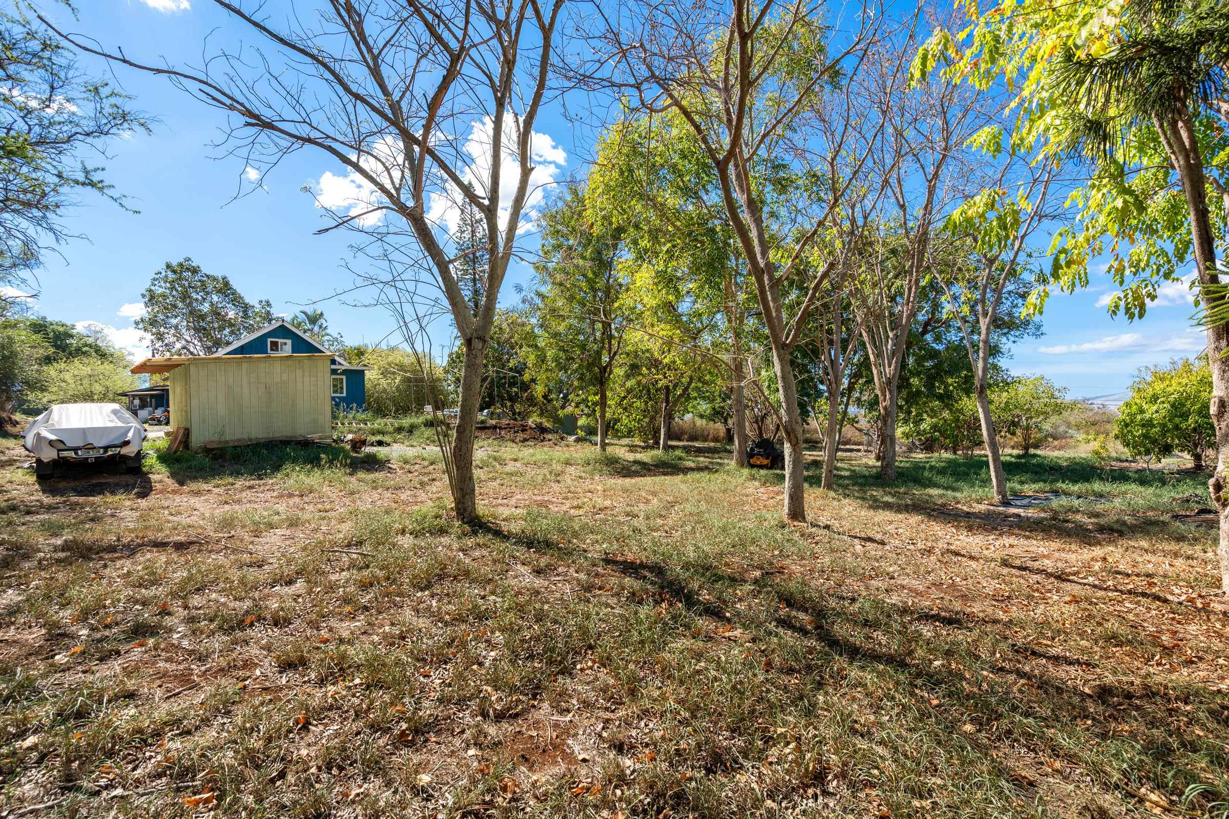 2846 Omaopio Road Kula, HI 96790 - Photo 47 of 50 Gallery Image 47