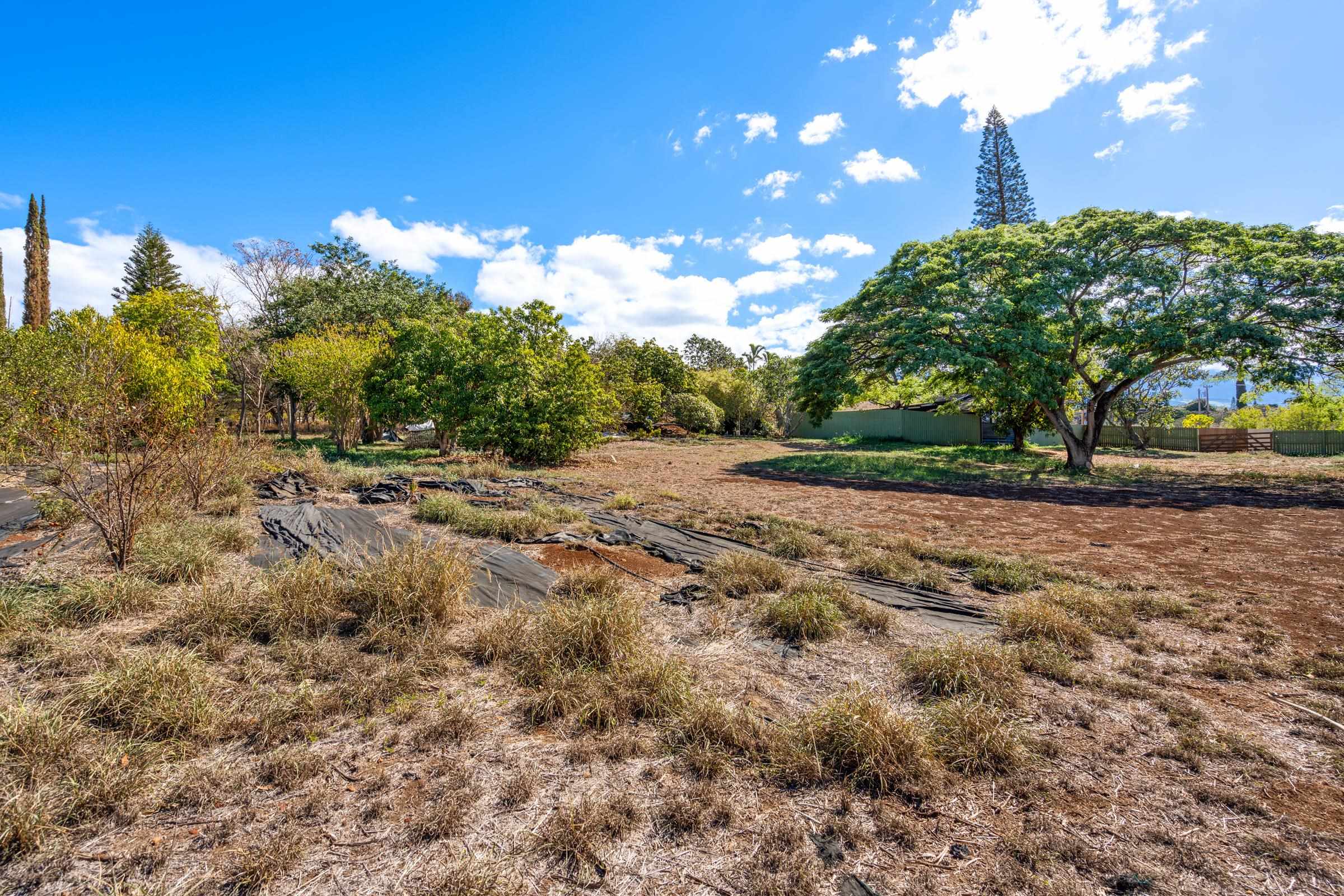 2846 Omaopio Road Kula, HI 96790 - Photo 48 of 50 Gallery Image 48