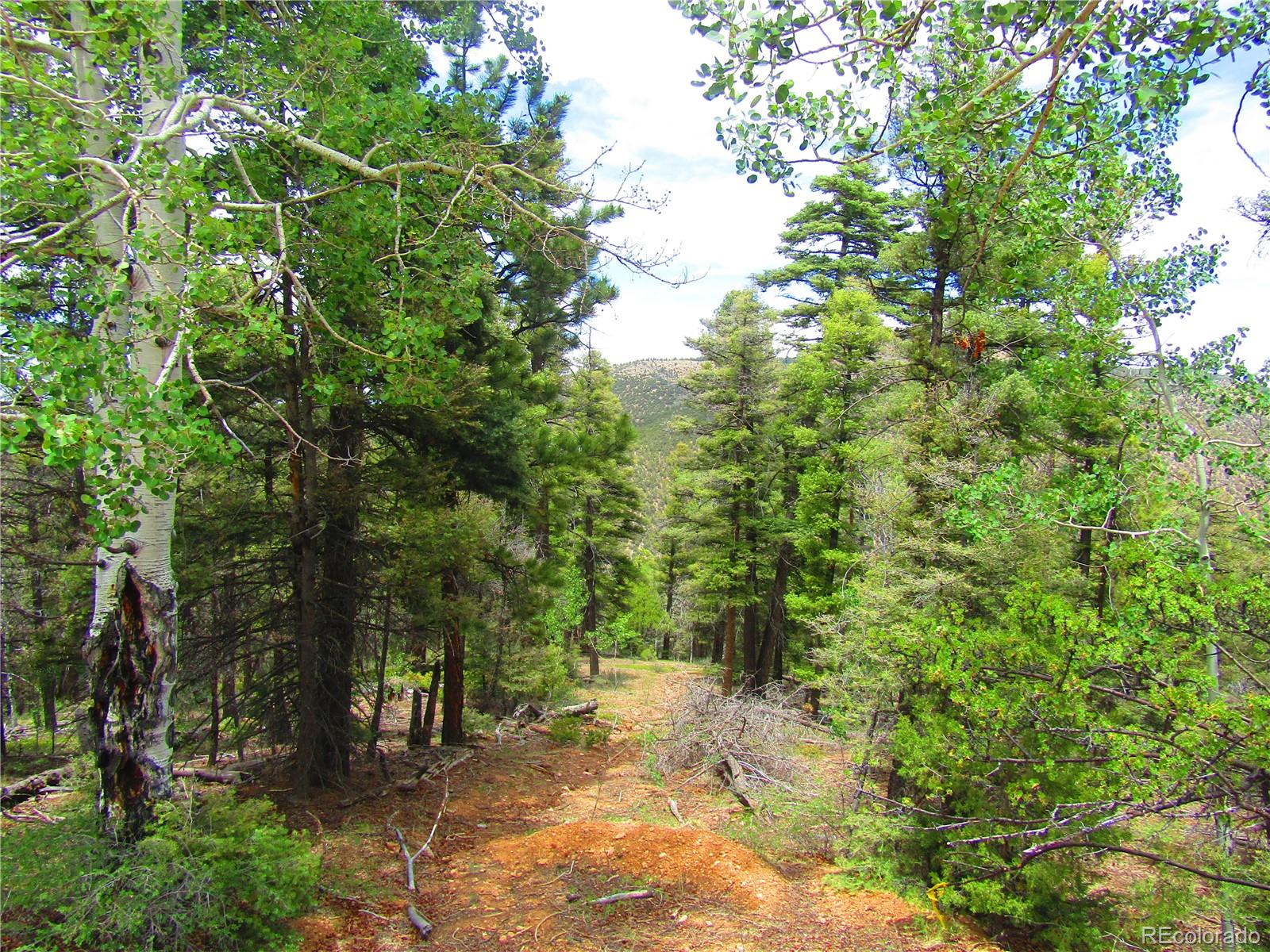 Lot 6028 Spruce Roads San Luis, CO 81152 - Photo 12 of 13