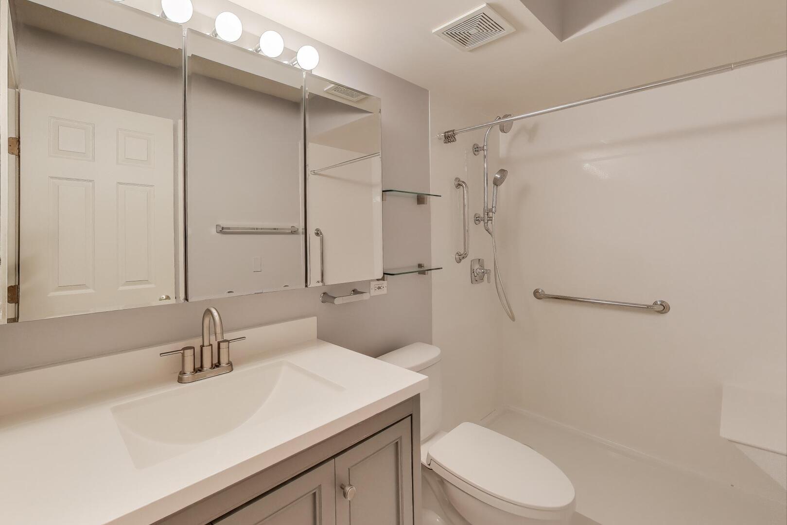 1220 Depot Street, Unit 109 Glenview, IL 60025 - Photo 18 of 35 a bathroom with a sink a toilet and shower