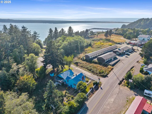a view of a yard with plants