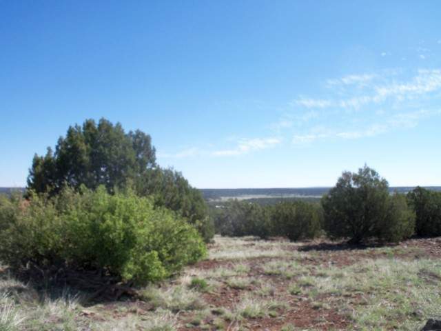 2079 Parker Ranch Road Show Low, AZ 85901 - Photo 2 of 9