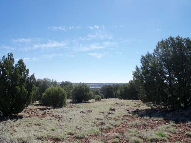 2079 Parker Ranch Road Show Low, AZ 85901 - Photo 4 of 9