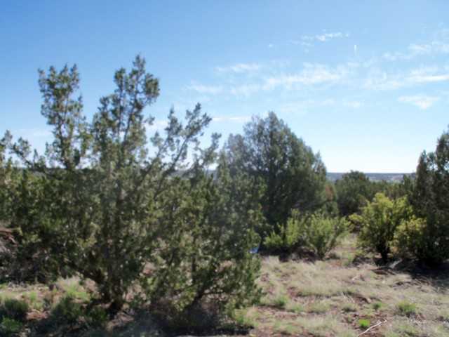 2079 Parker Ranch Road Show Low, AZ 85901 - Photo 5 of 9