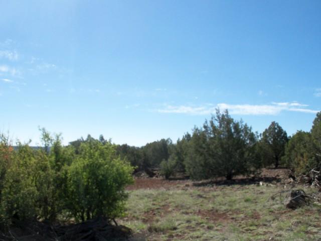 2079 Parker Ranch Road Show Low, AZ 85901 - Photo 6 of 9