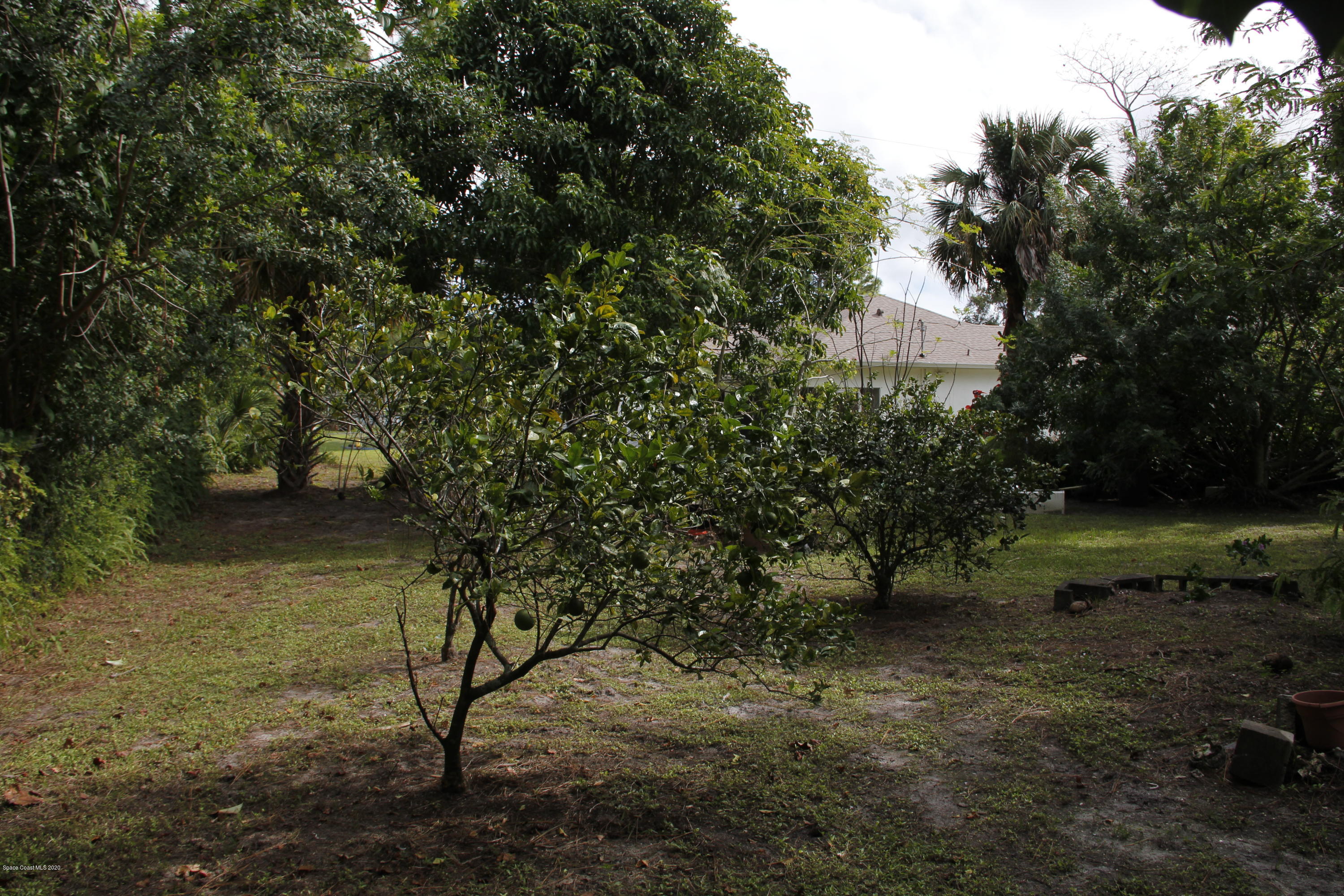 411 Saul Road Southwest Palm Bay, FL 32908 - Photo 29 of 29 Fruit tree