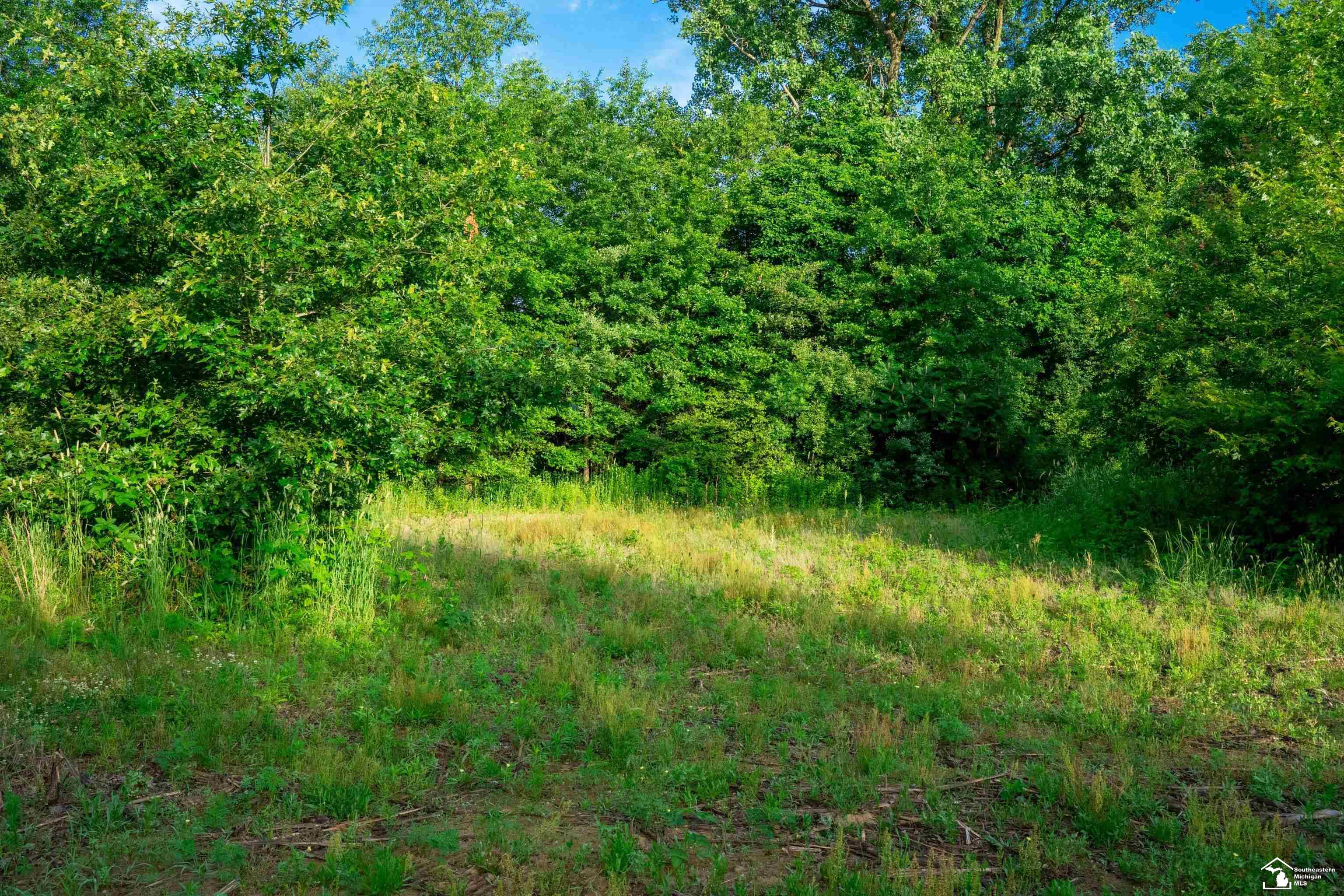 Parcel D Timbers Road Carleton, MI 48117 - Photo 15 of 20