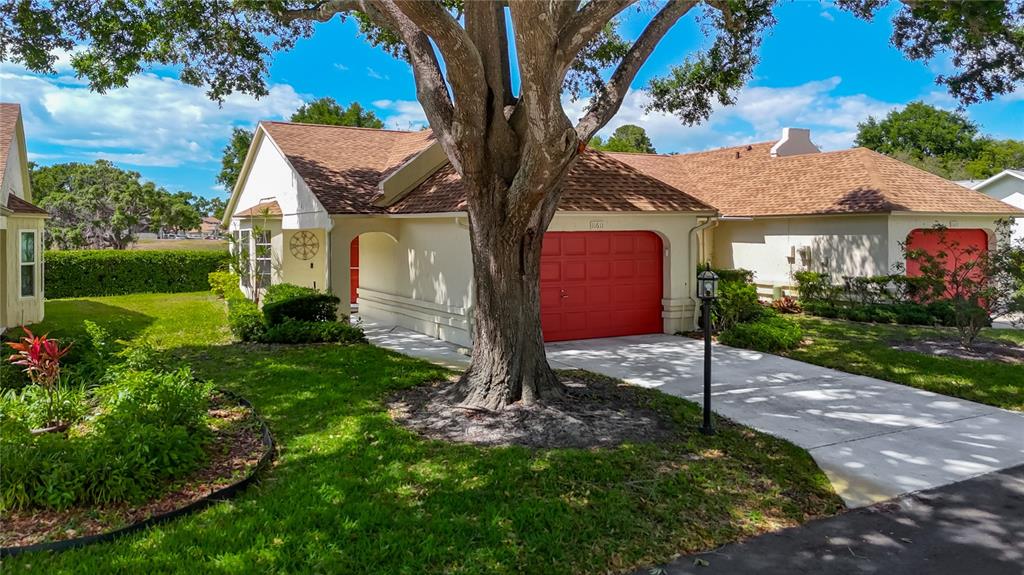 11611 Orleans Lane Port Richey, FL 34668 - Photo 3 of 57 Gallery Image 3