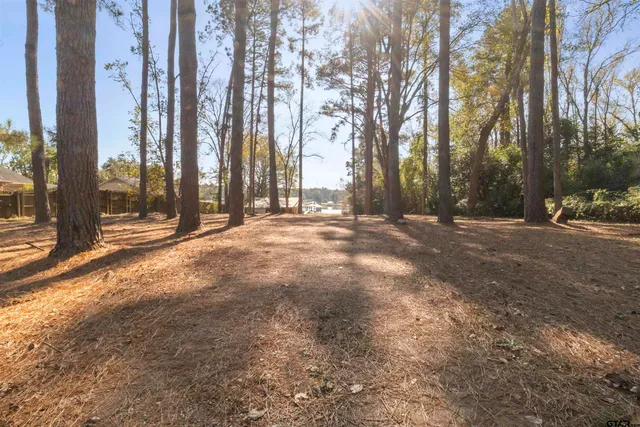 a view of outdoor space with trees
