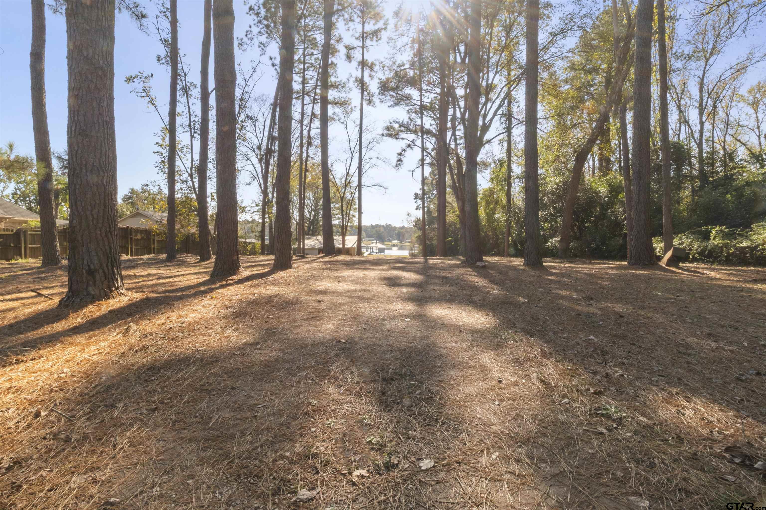 14131 West Peninsula Road Whitehouse, TX 75791 - Photo 4 of 28 a view of outdoor space with trees