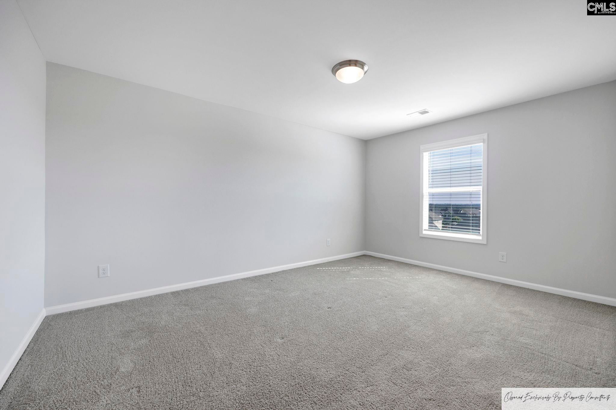 763 Spring Cress Drive Lexington, SC 29073 - Photo 33 of 44 Gallery Image 33
