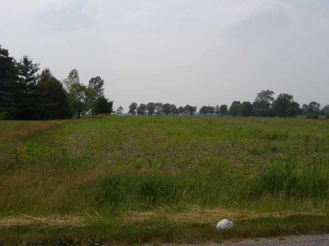 0 County Road 166, Unit LOT 1 Cardington, OH 43315 - Photo 4 of 6