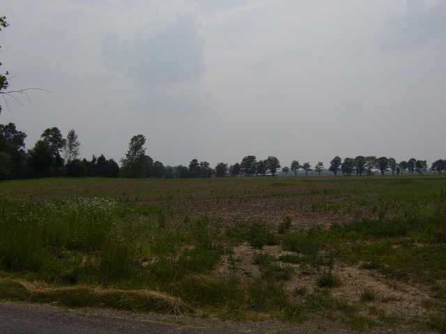 0 County Road 166, Unit LOT 1 Cardington, OH 43315 - Photo 5 of 6