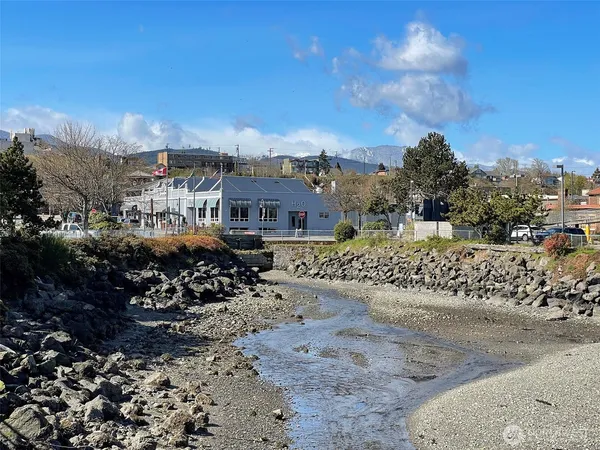 a house with a yard and potted plants