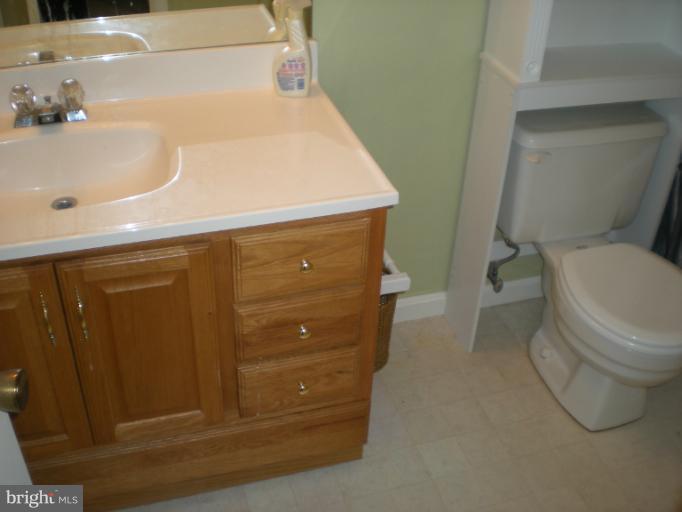 2287 Hunter's Run Drive, Unit 2287 Reston, VA 20191 - Photo 11 of 22 Bath