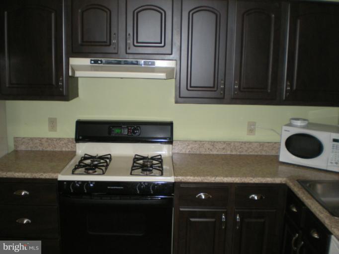 2287 Hunter's Run Drive, Unit 2287 Reston, VA 20191 - Photo 4 of 22 Kitchen