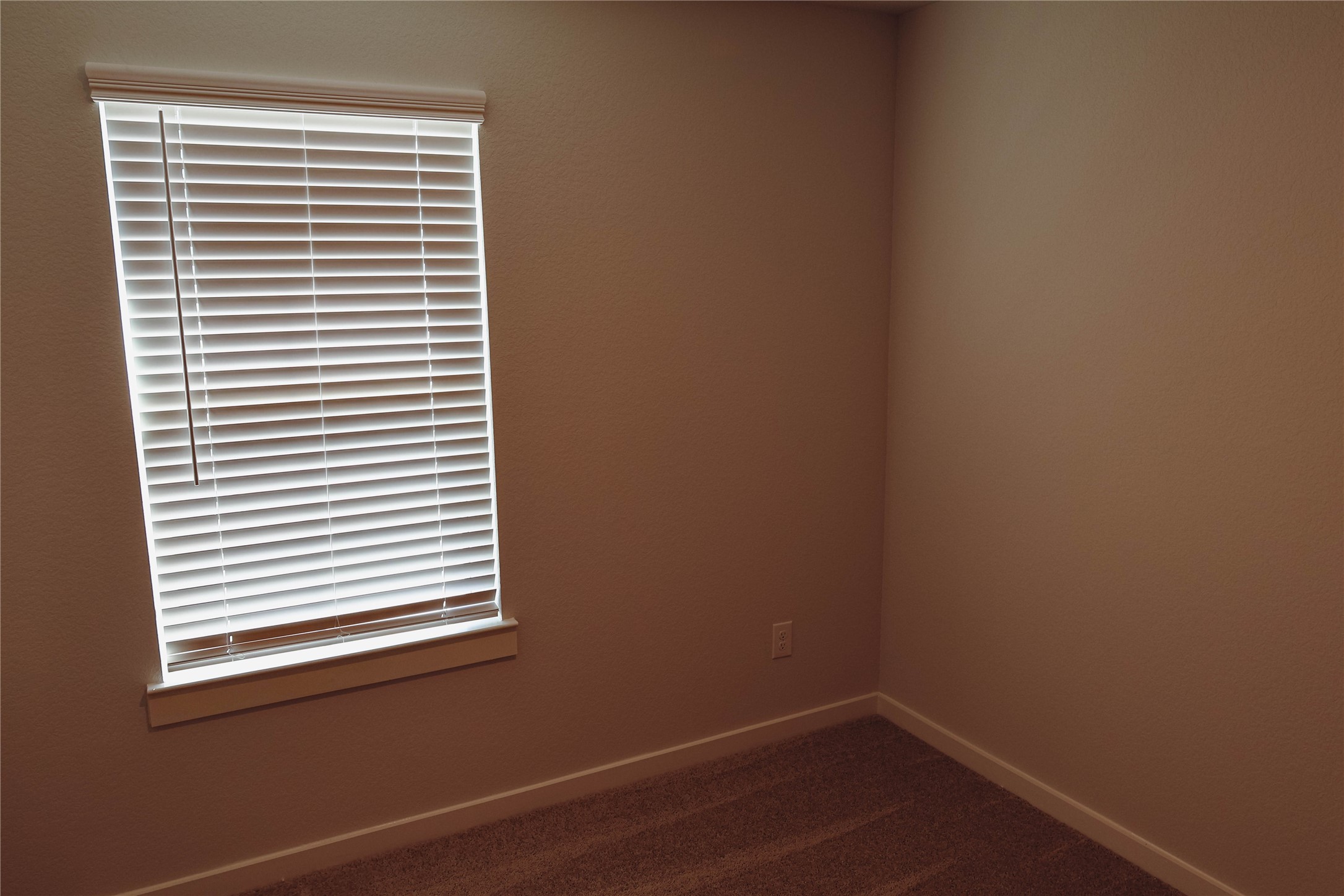 16 Courageous Way Magnolia, TX 77354 - Photo 17 of 19 a view of a small space with a window