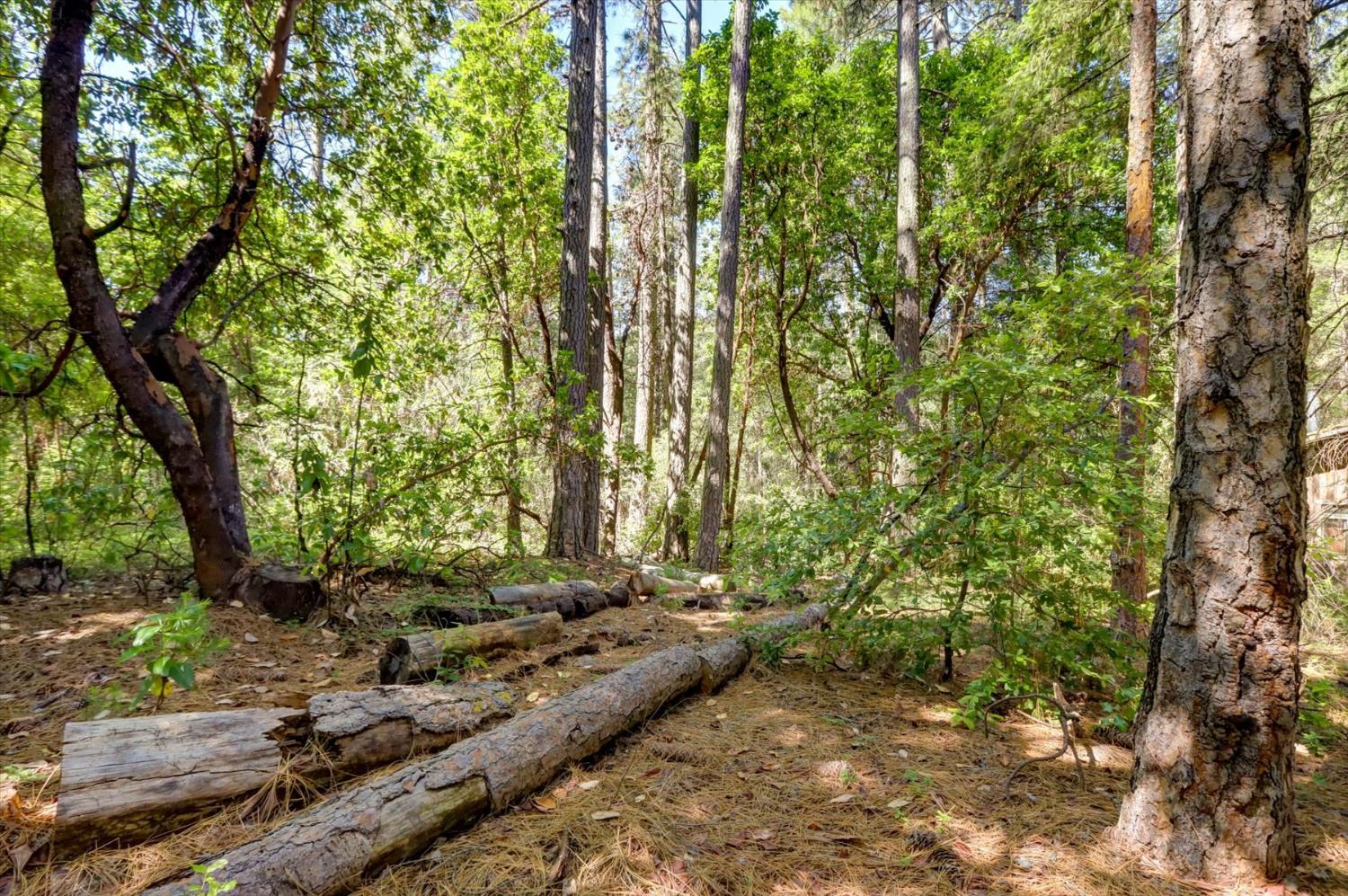 17390 Skyland Road Nevada City, CA 95959 - Photo 9 of 17