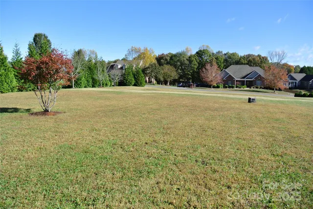 a view of a field with a tree