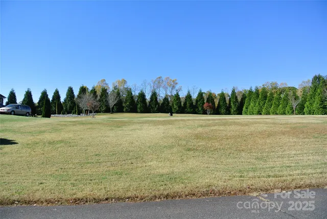 a view of a field with trees in the background