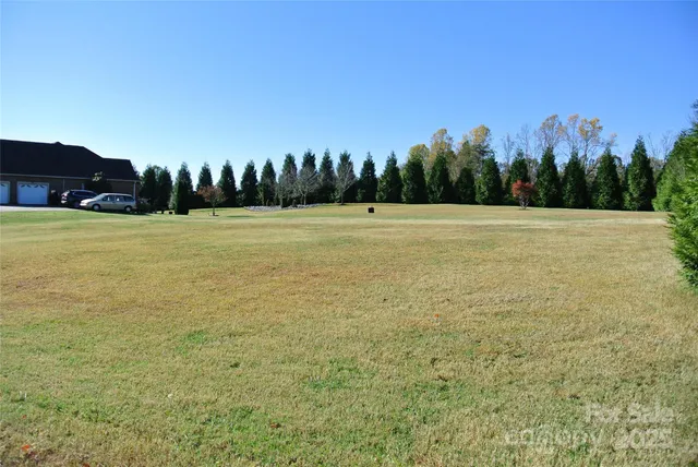a view of a field with trees in the background