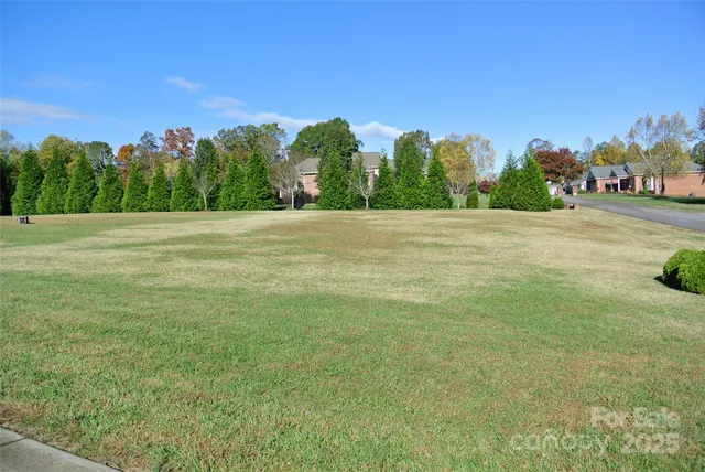 a view of a field with trees in the background