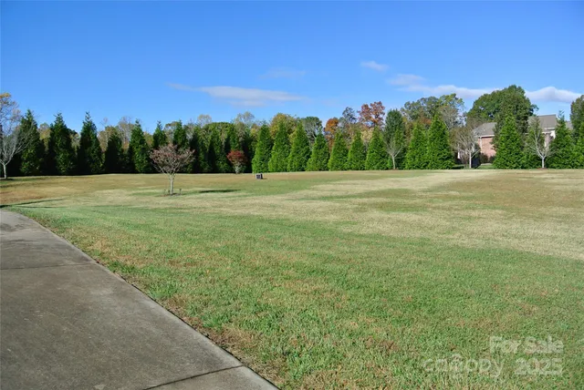 a view of a big yard with an trees