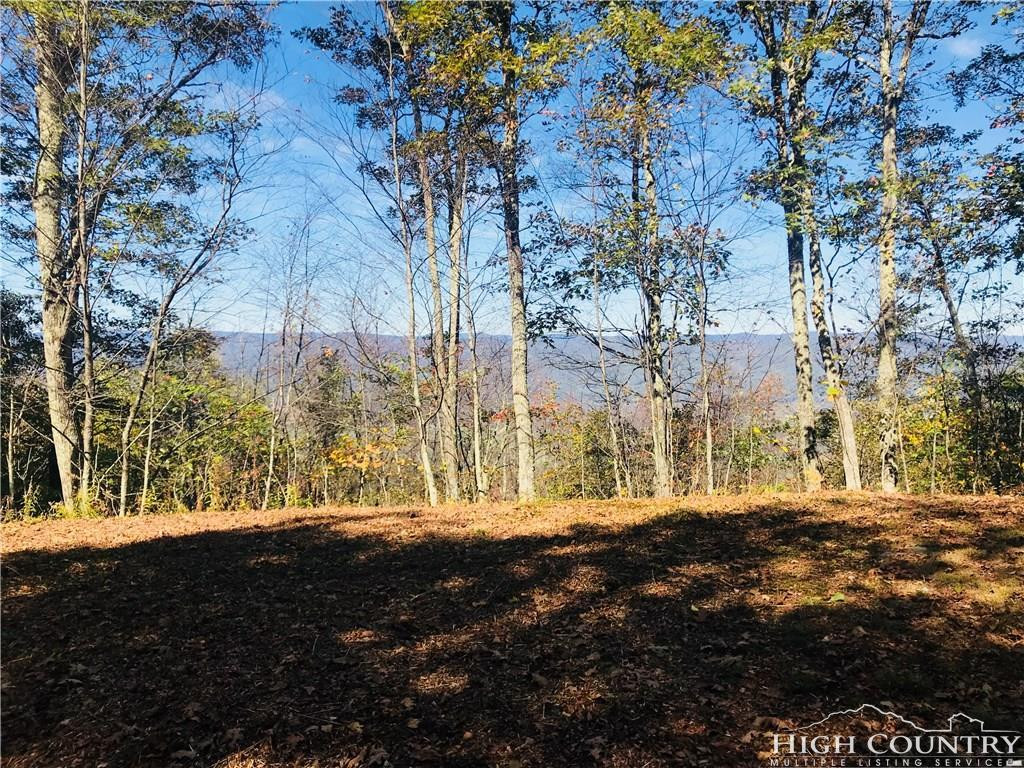 0 Locust Gap Road, Unit 2 Mountain City, TN 37683 - Photo 1 of 5 Photo 1