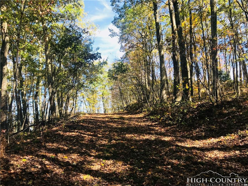 0 Locust Gap Road, Unit 2 Mountain City, TN 37683 - Photo 2 of 5 Photo 2