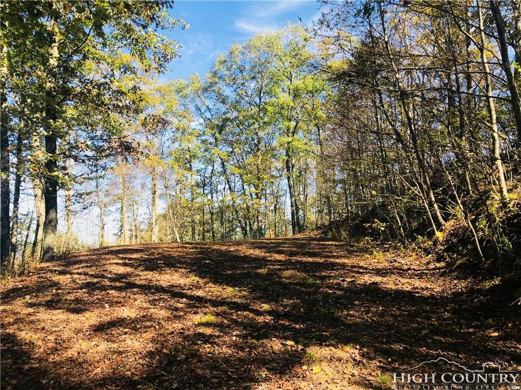 0 Locust Gap Road, Unit 2 Mountain City, TN 37683 - Photo 3 of 5 Photo 3