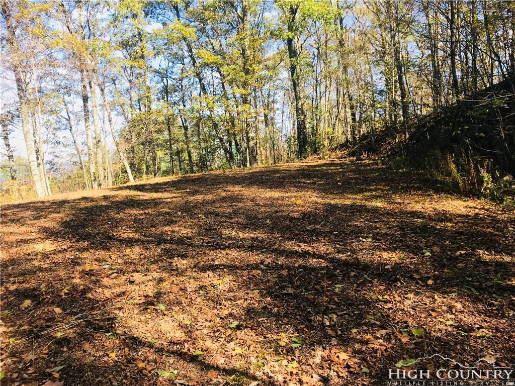 0 Locust Gap Road, Unit 2 Mountain City, TN 37683 - Photo 4 of 5 Photo 4