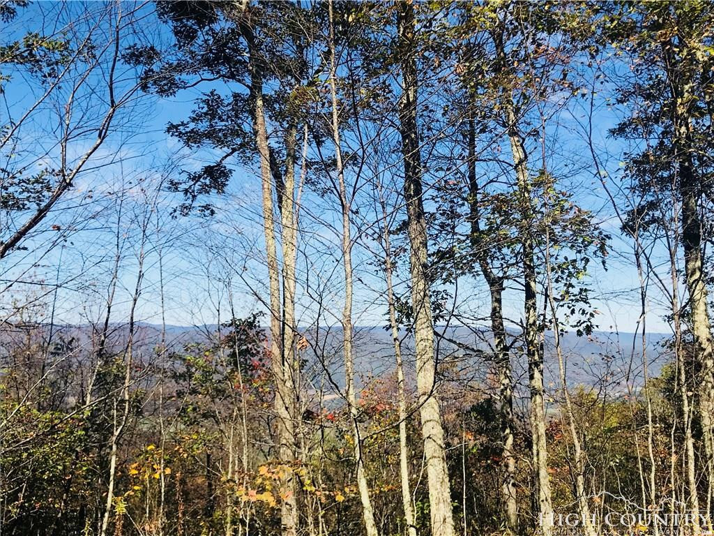 0 Locust Gap Road, Unit 2 Mountain City, TN 37683 - Photo 5 of 5 Photo 5