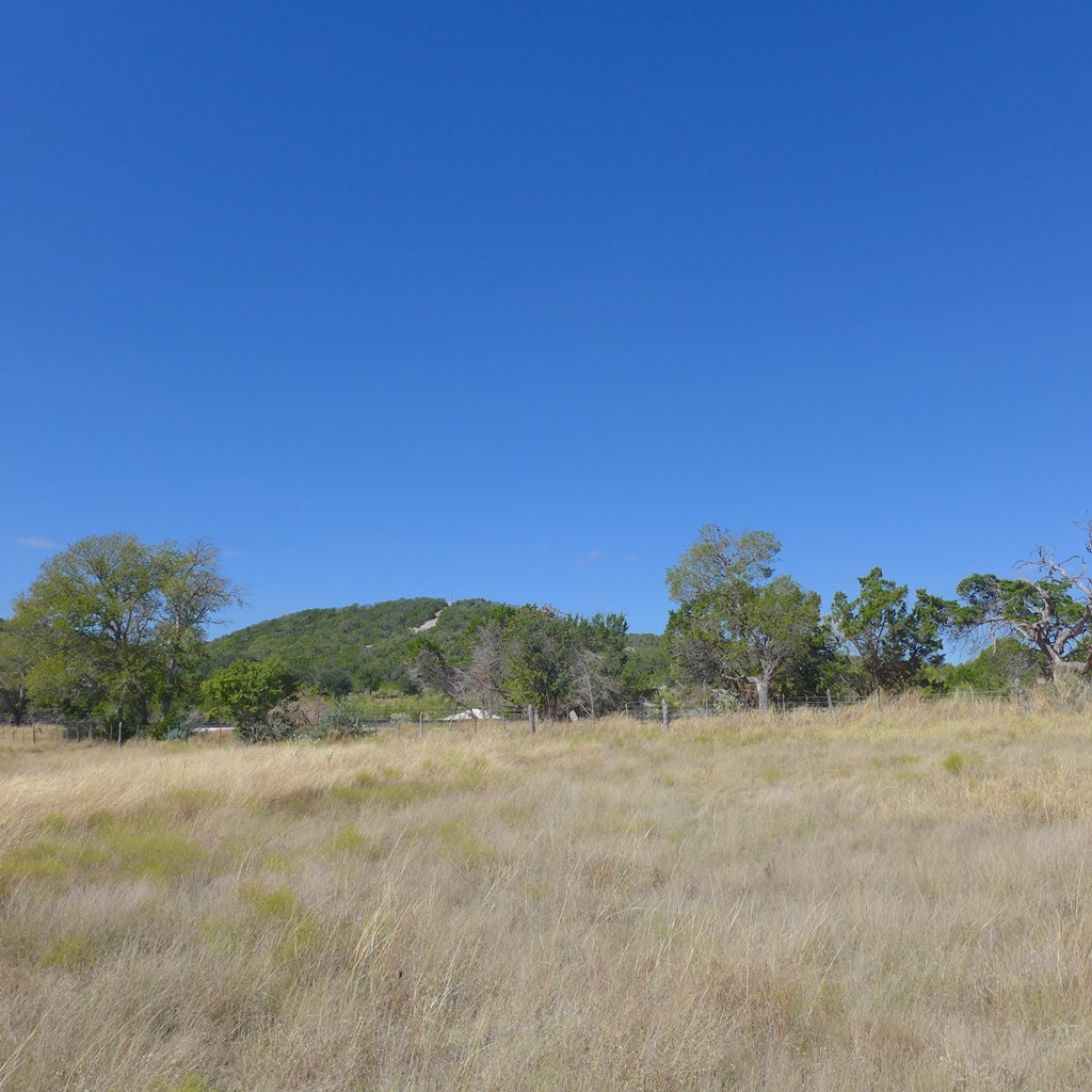 Tbd Big Joshua Creek Road Comfort, TX 78013 - Photo 5 of 12 a view of a yard with a tree