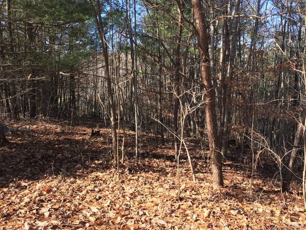 0 Pine Ridge Road Mars Hill, NC 28754 - Photo 3 of 9 Gallery Image 3