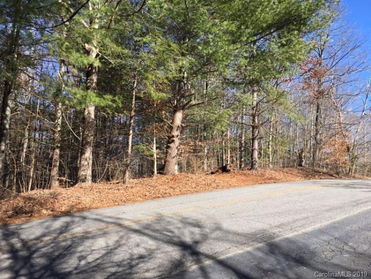 0 Pine Ridge Road Mars Hill, NC 28754 - Photo 8 of 9 Gallery Image 8