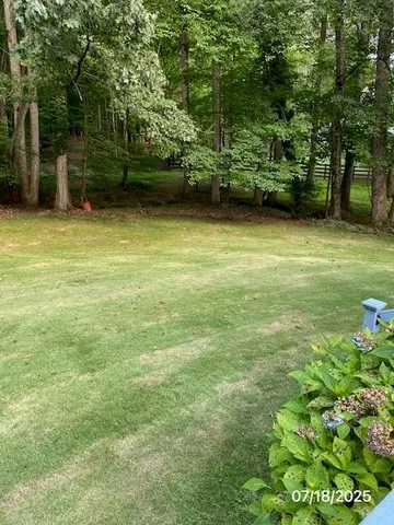 a view of road with trees