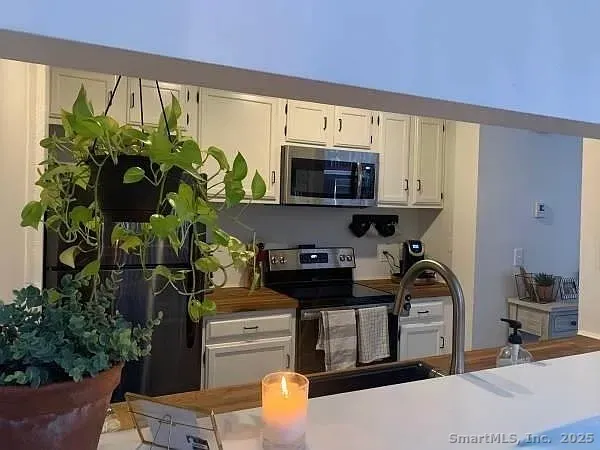 a kitchen with stainless steel appliances a counter space cabinets and a potted plant