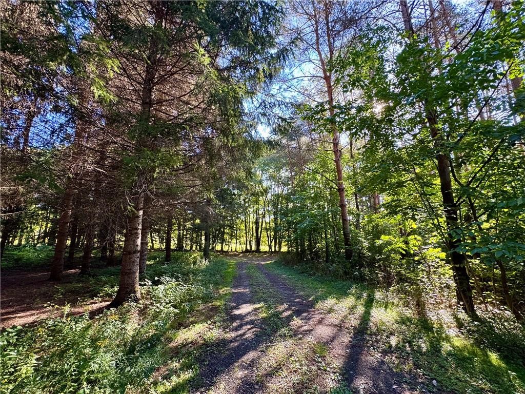 175 Hovick Road Burlington, NY 13348 - Photo 9 of 46 Gallery Image 9