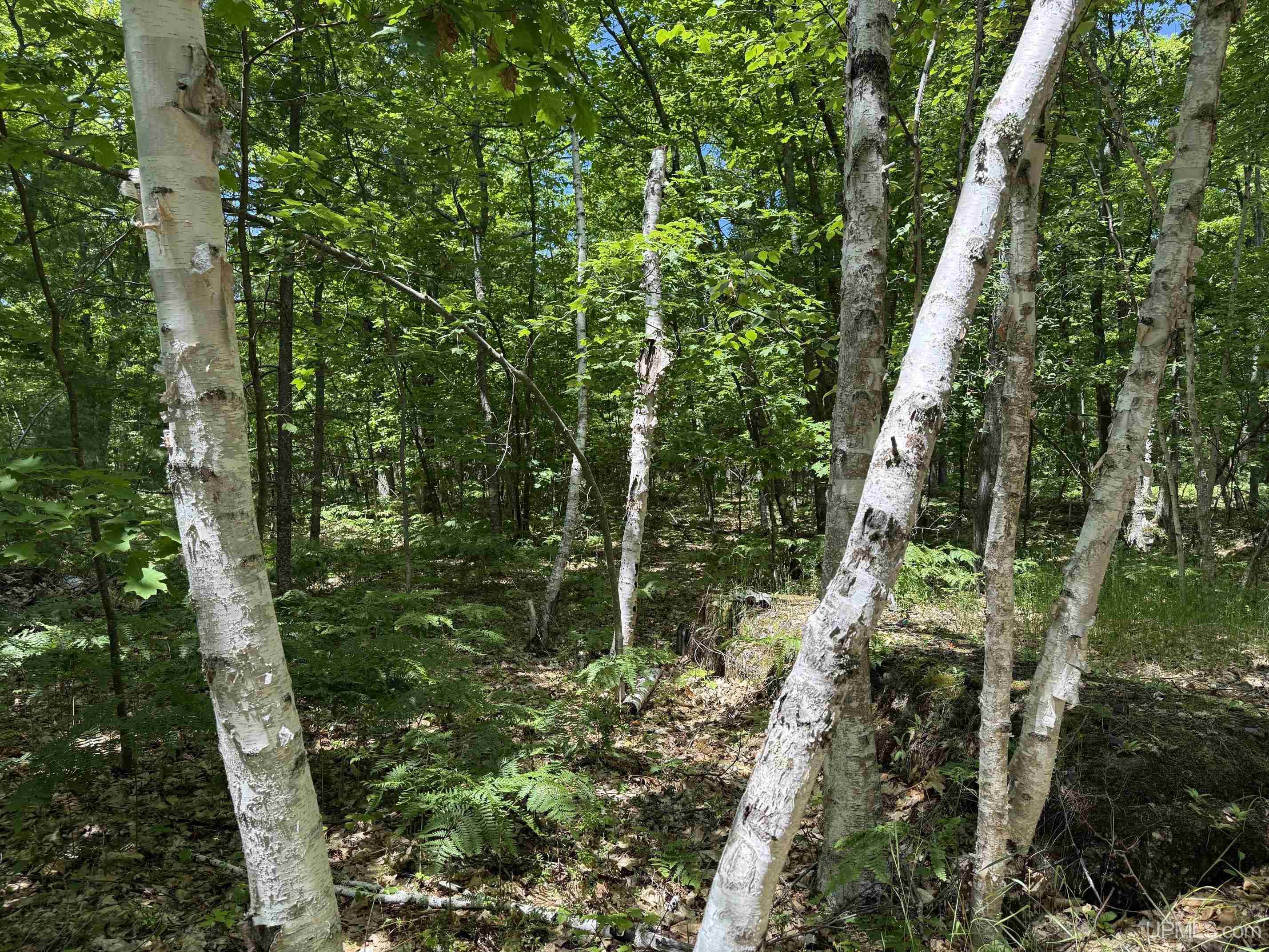 Tbd23 Senter Road Dollar Bay, MI 49922 - Photo 13 of 17