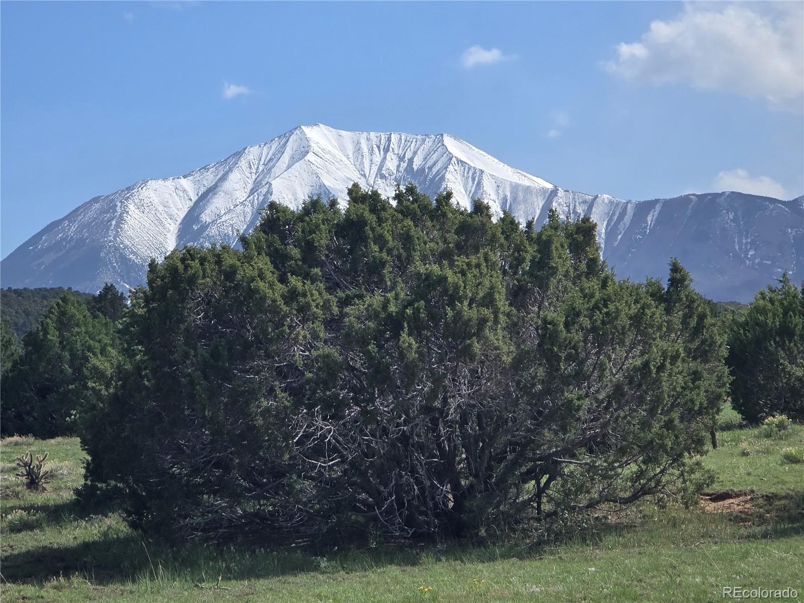 90 River Ridge Trail Walsenburg, CO 81089 - Photo 1 of 23