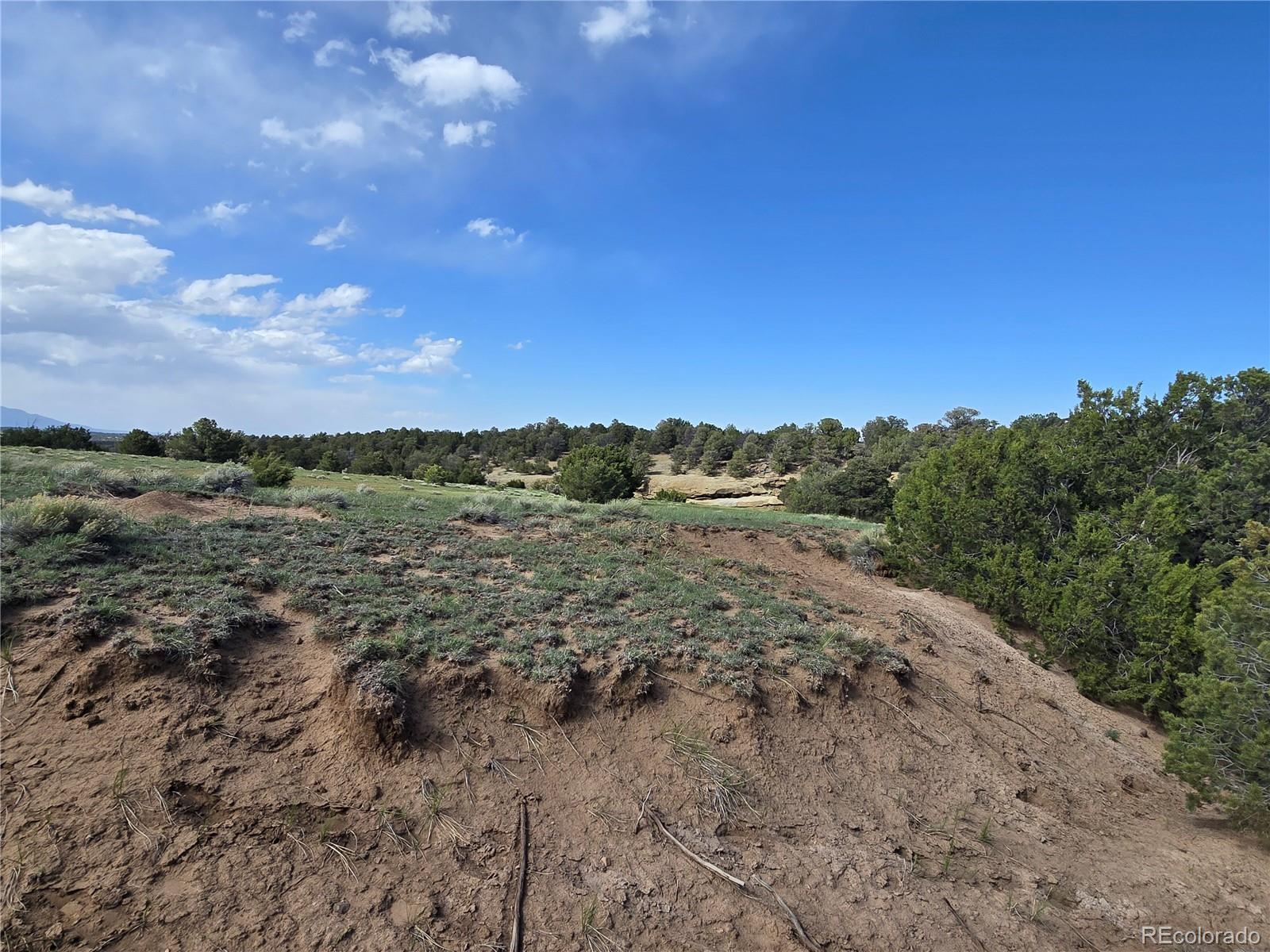 90 River Ridge Trail Walsenburg, CO 81089 - Photo 11 of 23