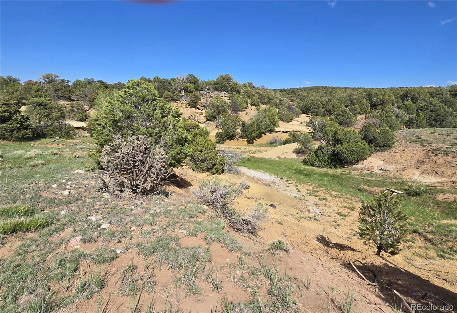 90 River Ridge Trail Walsenburg, CO 81089 - Photo 12 of 23