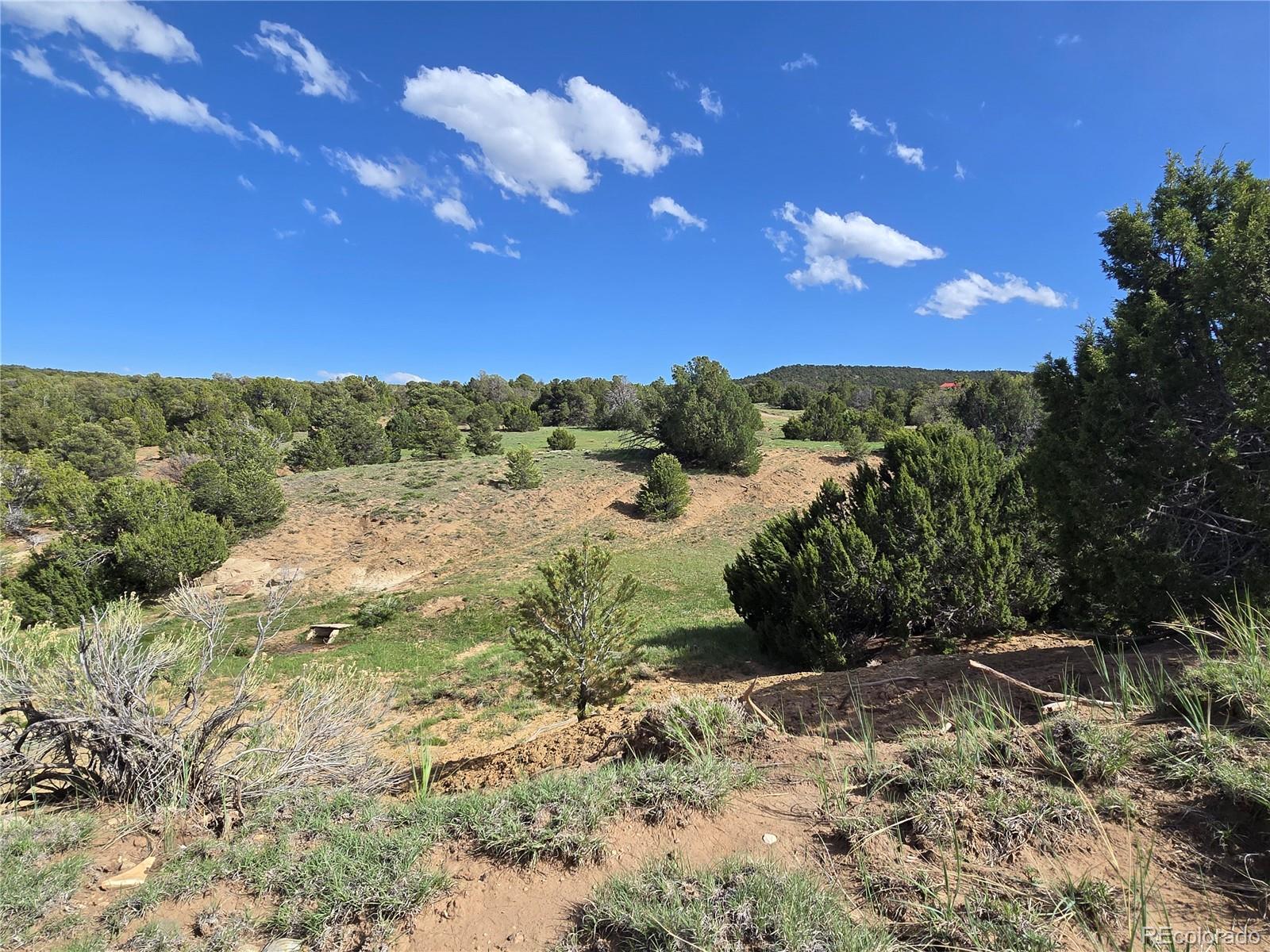 90 River Ridge Trail Walsenburg, CO 81089 - Photo 13 of 23