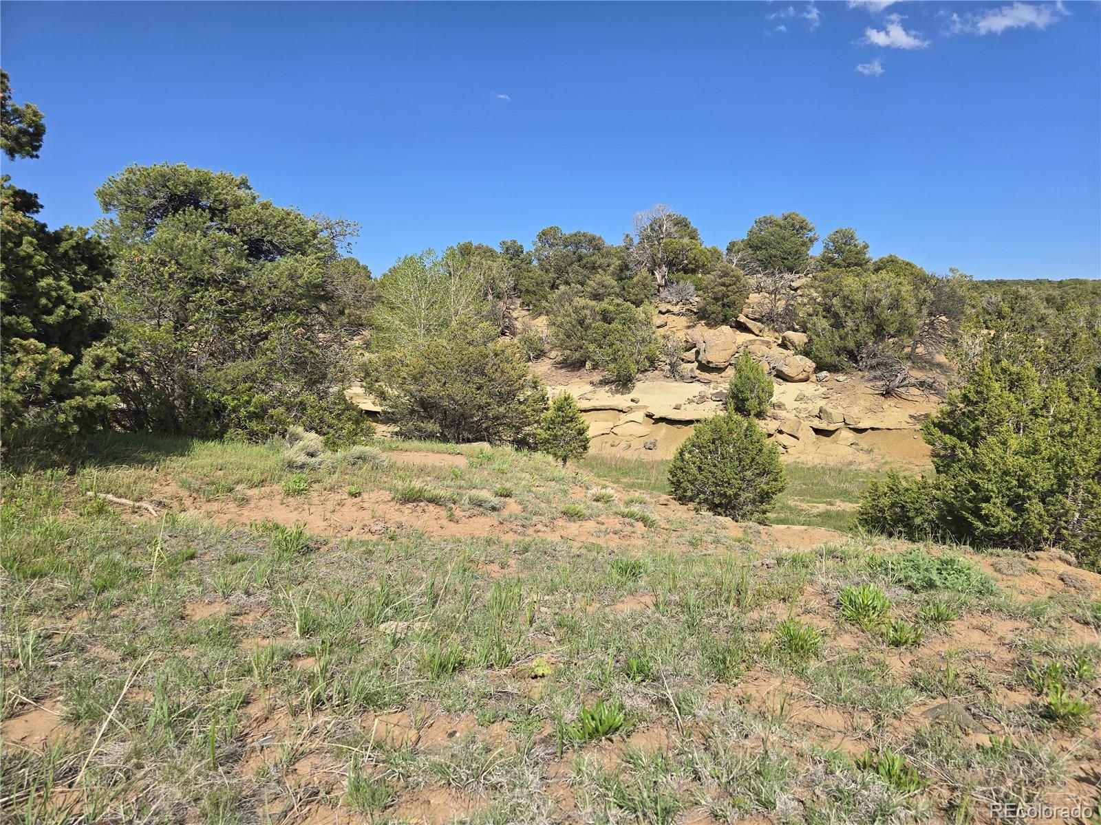 90 River Ridge Trail Walsenburg, CO 81089 - Photo 14 of 23