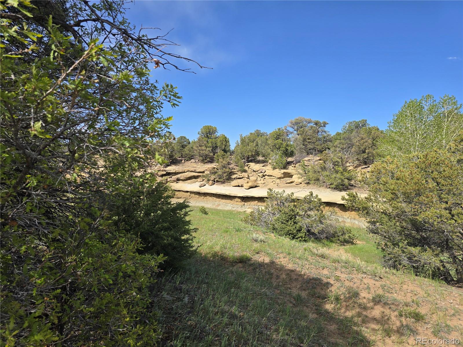 90 River Ridge Trail Walsenburg, CO 81089 - Photo 15 of 23