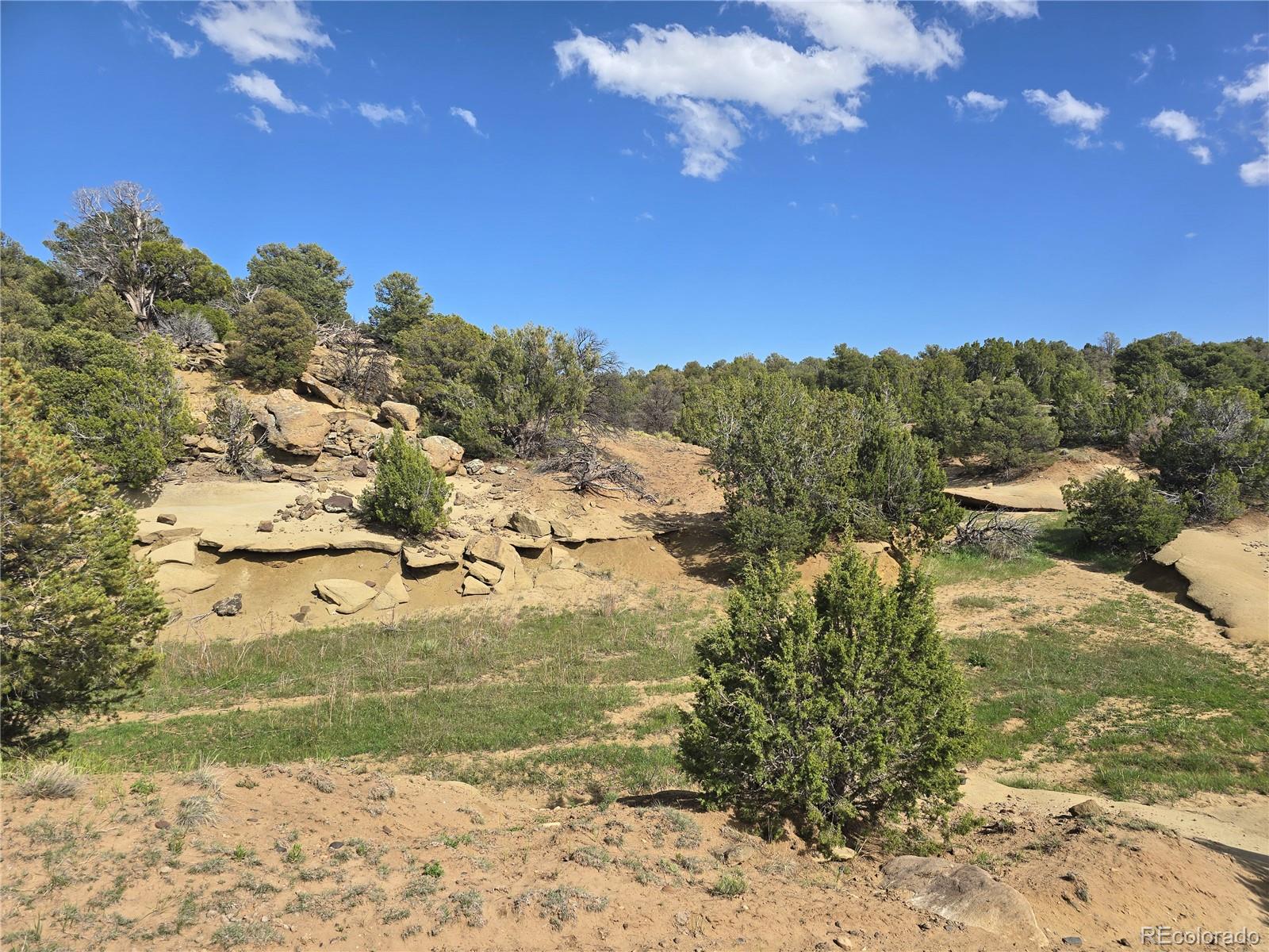90 River Ridge Trail Walsenburg, CO 81089 - Photo 16 of 23