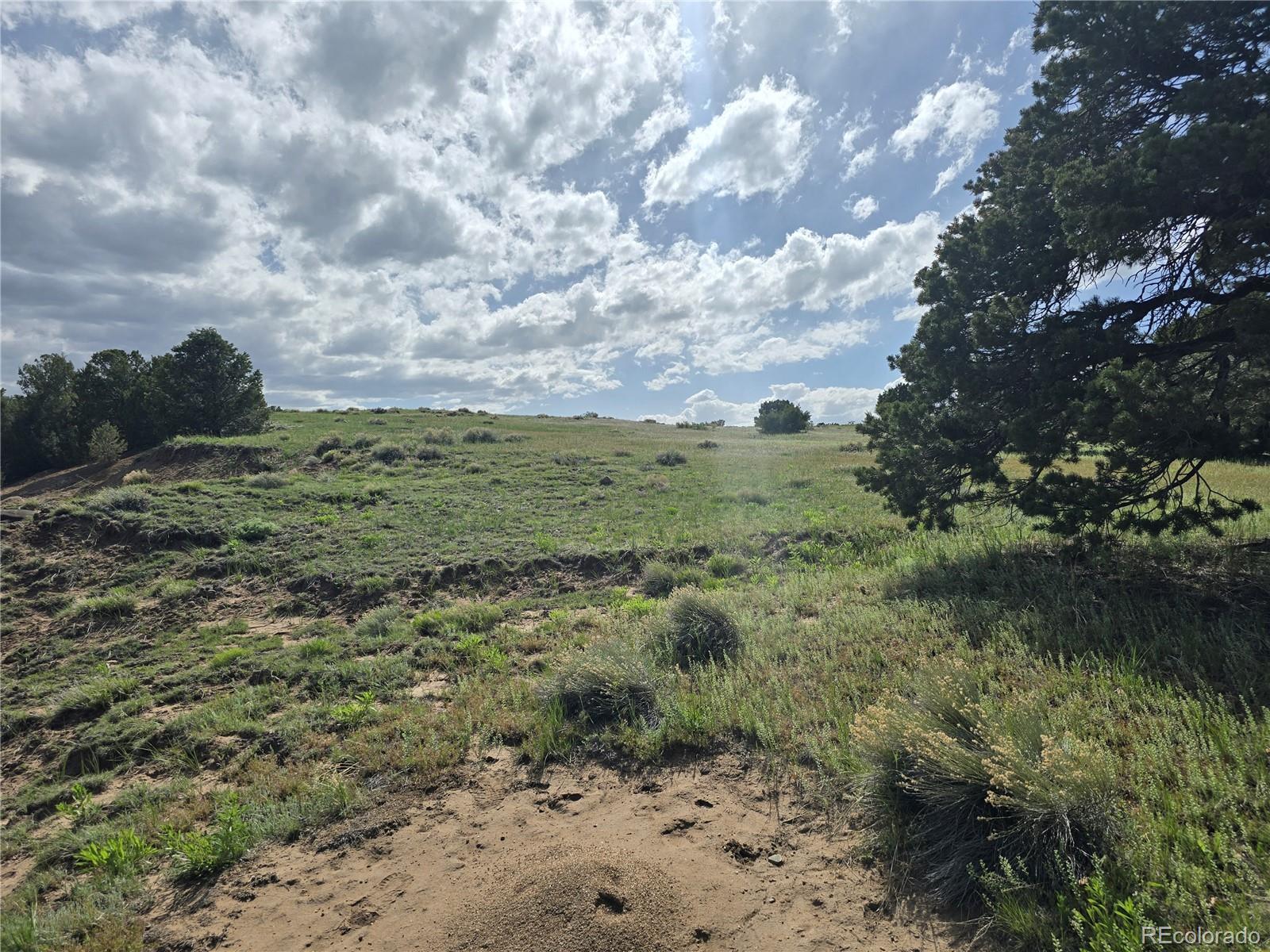 90 River Ridge Trail Walsenburg, CO 81089 - Photo 17 of 23