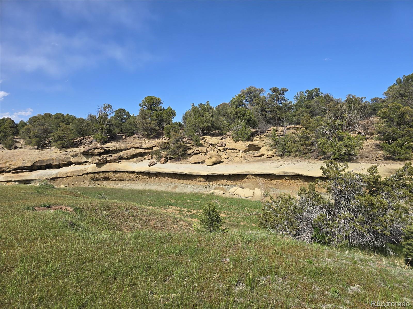 90 River Ridge Trail Walsenburg, CO 81089 - Photo 18 of 23