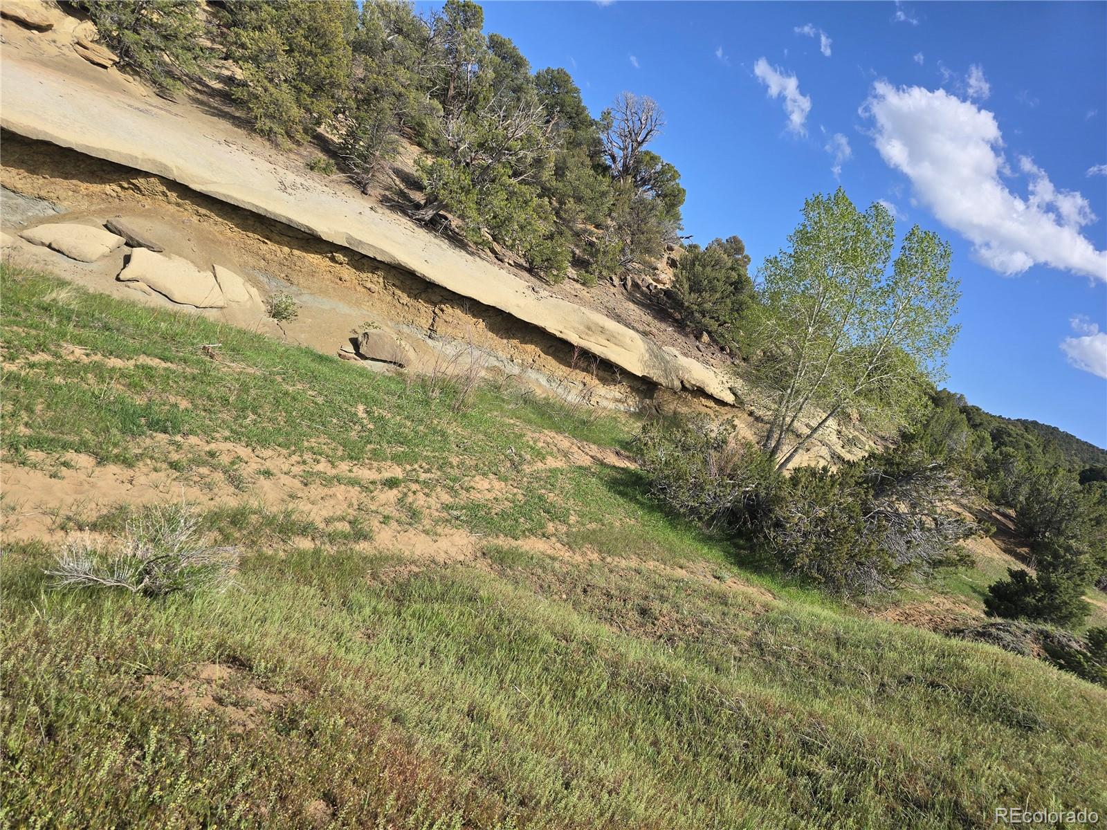 90 River Ridge Trail Walsenburg, CO 81089 - Photo 19 of 23