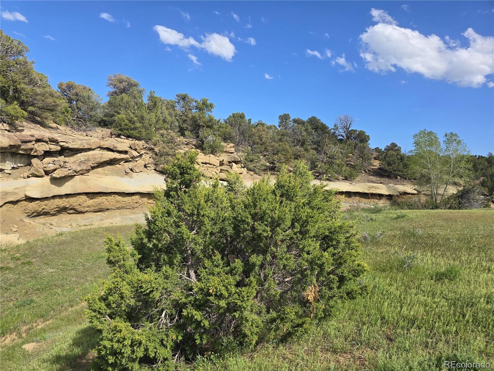90 River Ridge Trail Walsenburg, CO 81089 - Photo 21 of 23